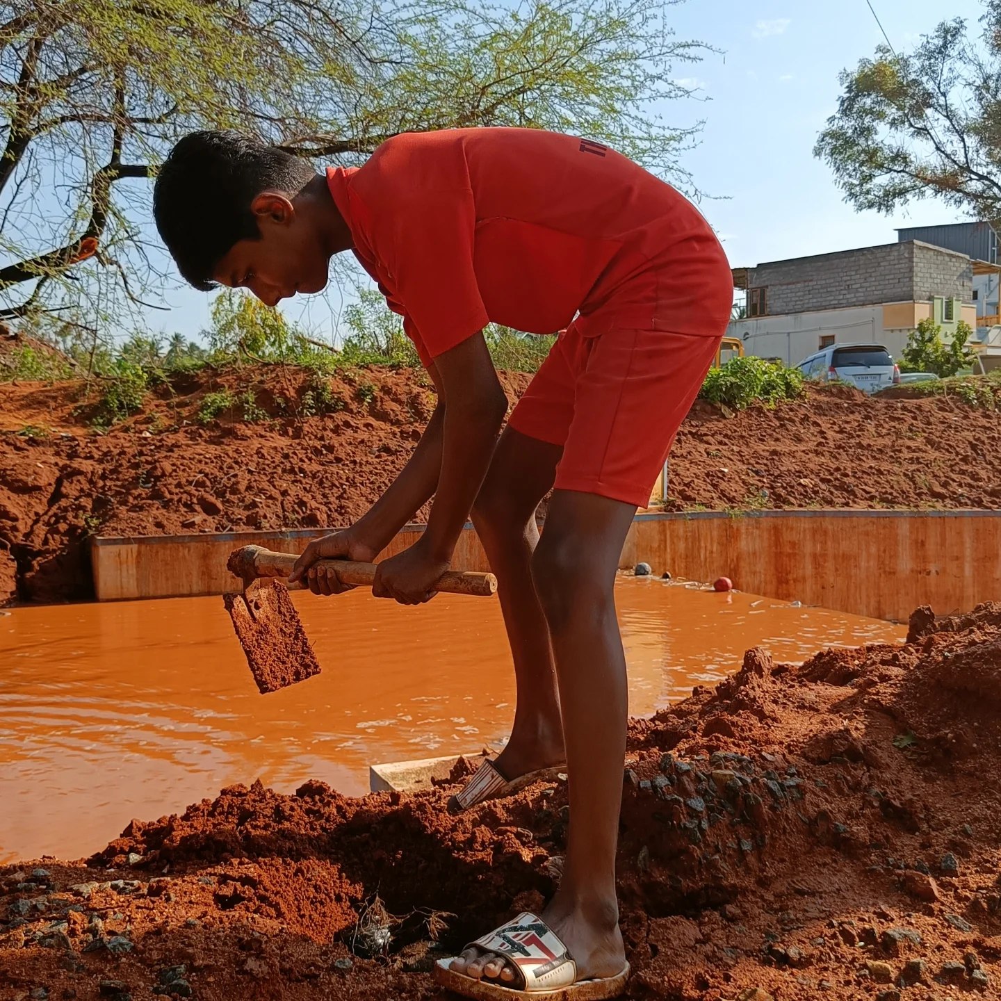 Aaniver Organization volunteers planting palm seeds in Somayampalayam, Coimbatore