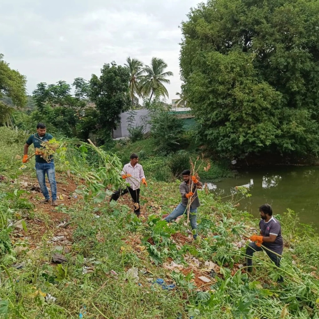Volunteers de-weeding lake shore in Somaiyampalayam