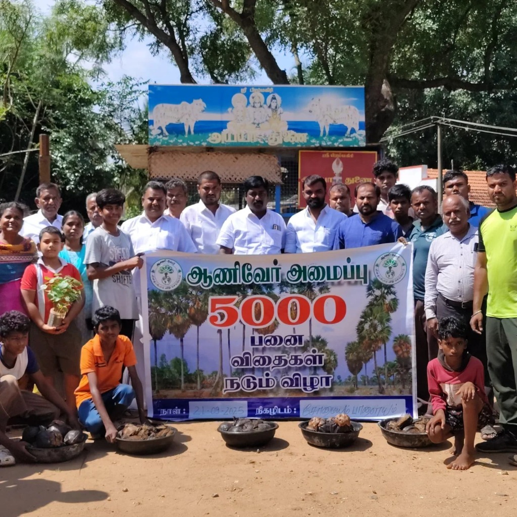 Volunteers planting palm seeds in Coimbatore